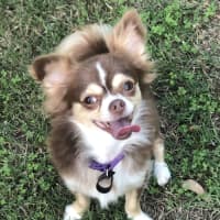 Photo of Bobbie