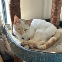 Photo of Otis