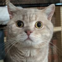 Photo of Professor Chaos