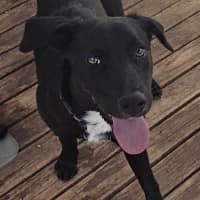 Photo of Turbo Aka Toby