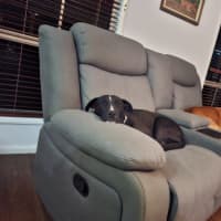 Photo of Buttons