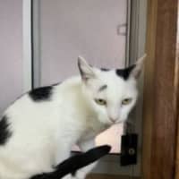 Photo of Linda