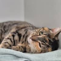 Photo of Matilda