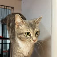Photo of Geena 