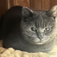 Photo of Miaowzzee