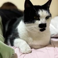 Photo of Miss Louise 