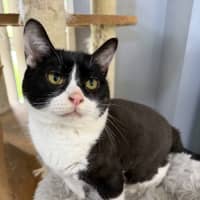 Photo of Diaz And Gucci