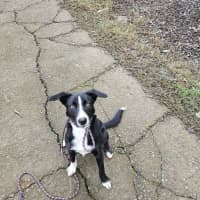 Photo of Freya