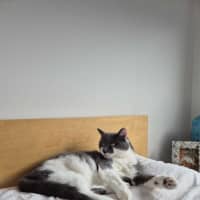 Photo of Smokey