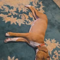 Photo of Breeze