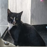 Photo of Sparkle 