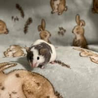 Photo of Hank & Joel