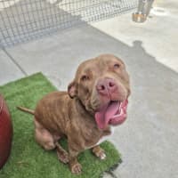 Photo of Meggie 💜