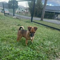Photo of Meenie