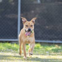 Photo of Sugar