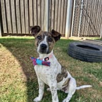 Photo of Chloe