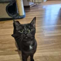 Photo of Ruby