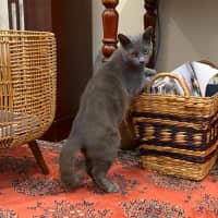 Photo of Monty