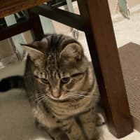 Photo of Mavis