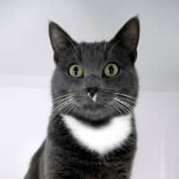 Photo of Tuna Rsta012365