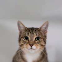 Photo of Belle