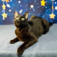 Photo of Mystica   Located In Preston 