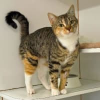 Photo of Lila