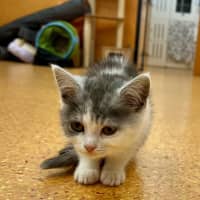 Photo of Clementine