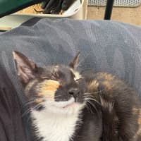 Photo of Salsa 