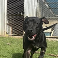Photo of Neo