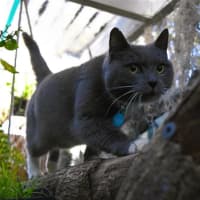 Photo of Sylvie