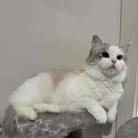 Photo of Misty