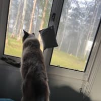 Photo of Sunny