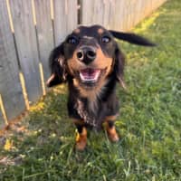 Photo of Mabel