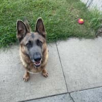 Photo of Blue