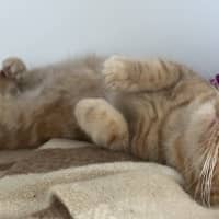 Photo of Daisy
