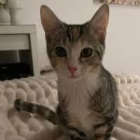 Photo of Tinkabell 
