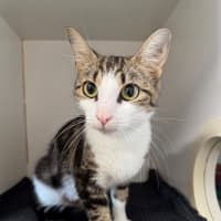 Photo of Sara Bellum