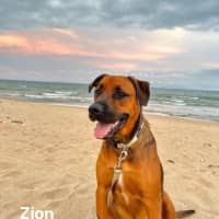 Photo of Zion