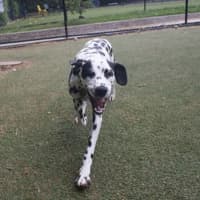 Photo of Pancake