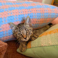 Photo of Tim Tam