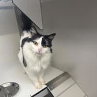 Photo of Winnie