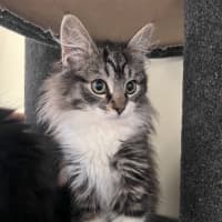 Photo of Maddox