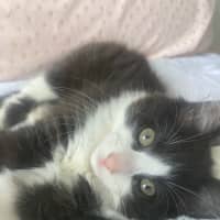 Photo of Bear Sanderson