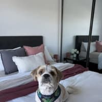 Photo of Hunter
