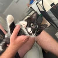 Photo of Arlo & Stella