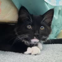 Photo of Jackson & Malakai   Located In Albert Park