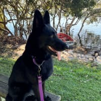 Photo of Indi