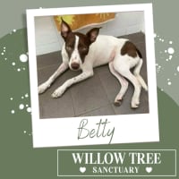 Photo of Betty 