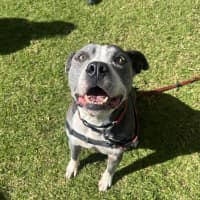 Photo of Tank